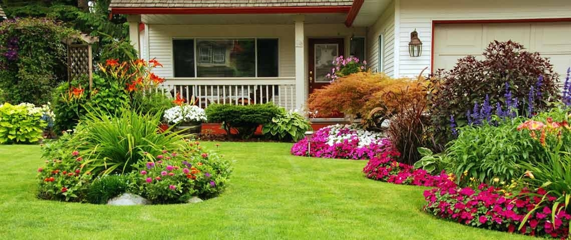 Lawn & Plantcare Lawn & Plantcare