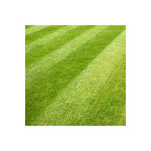 General Purpose Grass Seed 20kg
