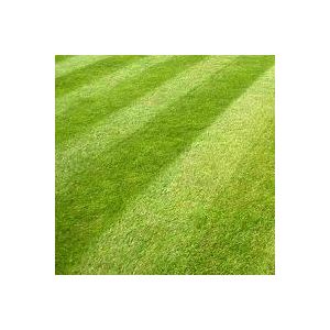 General Purpose Grass Seed 2kg