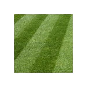 Luxury Grass Seed 20kg