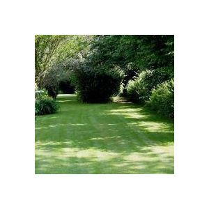 Shady Places Grass Seed 20kg