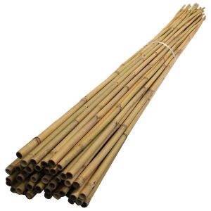 4ft Bamboo Canes - Pack of 10