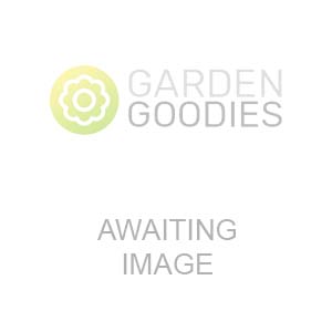 Town & Country - Master Gardener Green (Small)