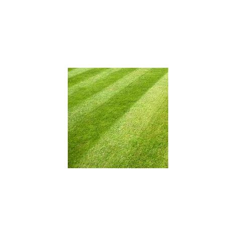 General Purpose Grass Seed 10kg
