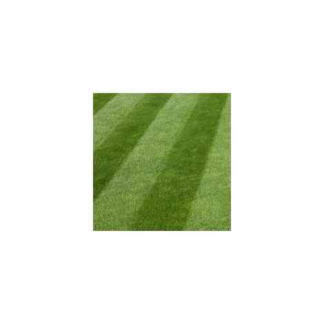 Luxury Grass Seed 20kg