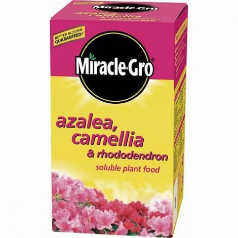 Miracle-Gro Azalea, Camellia & Rhododendron Soluble Plant Food 500g