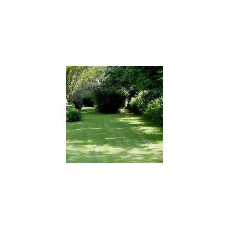 Shady Places Grass Seed 10kg