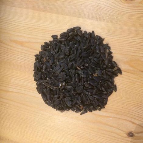 Black Sunflower Seeds 1kg