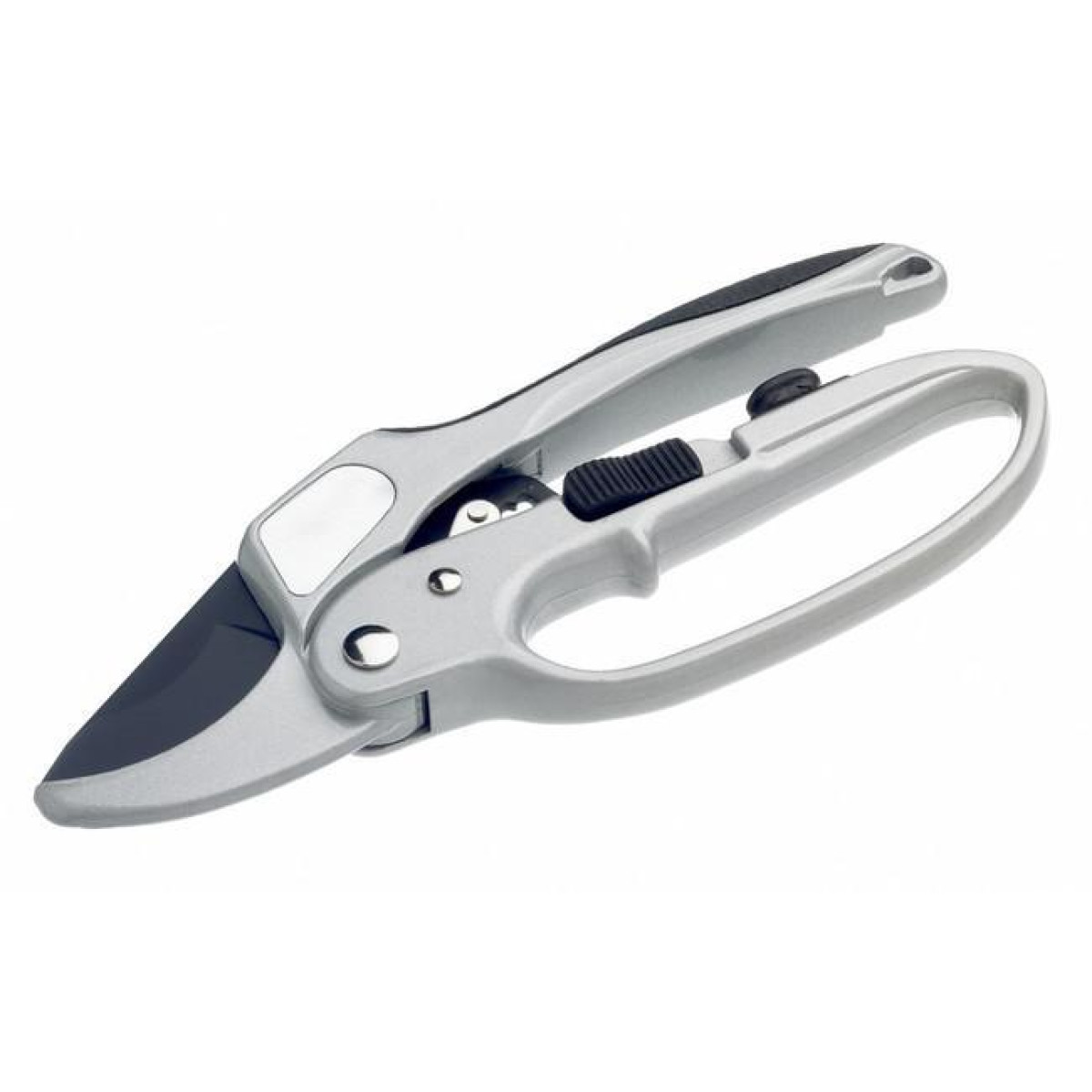 Bulldog Tools BD31303 – Premier Ratchet Pruning Shears