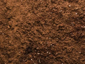 Composts