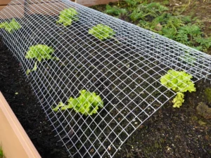 Garden Nets & Mesh