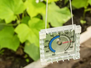 Greenhouse Accessories