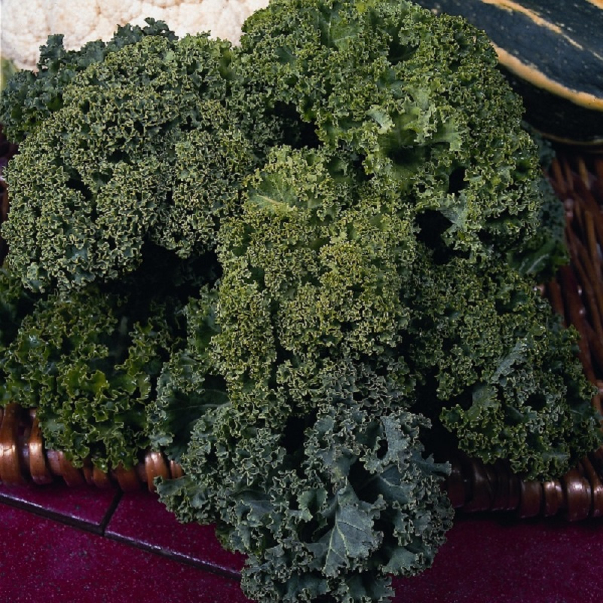 Kings – Borecole Dwarf Green Curled Seeds