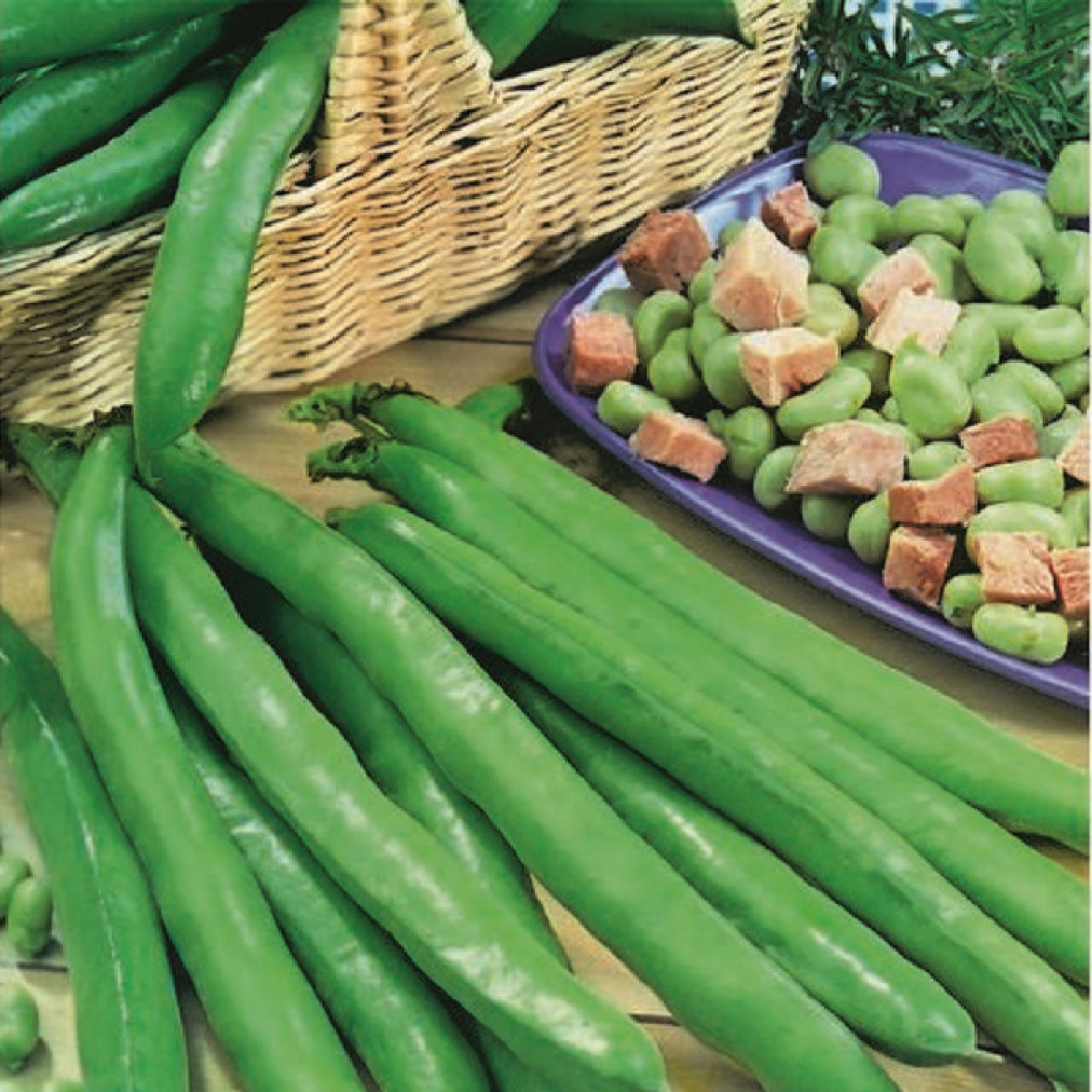 Kings – Broad Bean Bunyards Exhibition