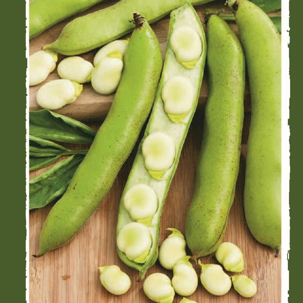 Kings – Broad Bean Witkiem Manita