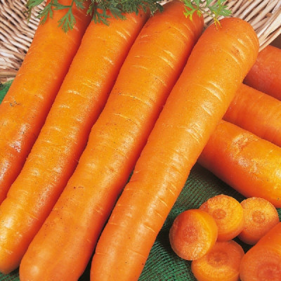 Kings – Carrot Early Nantes 2 Seeds