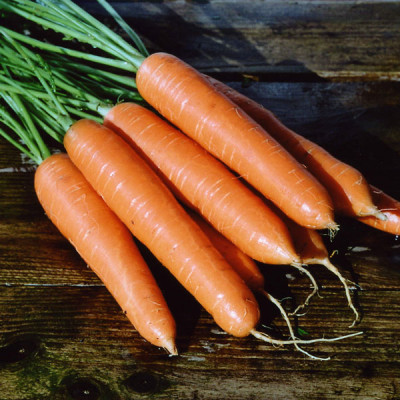 Kings – Carrot Eskimo F1