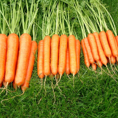 Kings – Carrot Sweet Candle F1