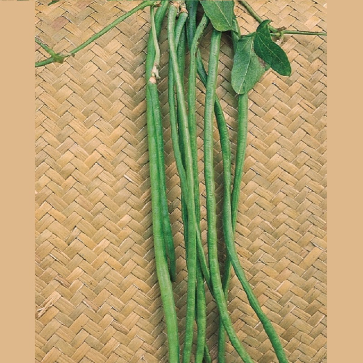 Kings – Climbing French Bean Yard Long