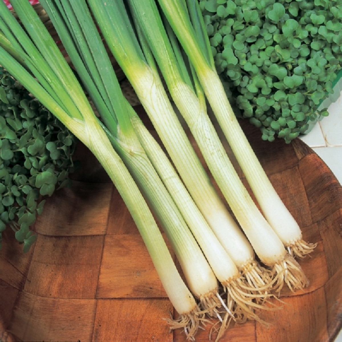 Kings – Onion White Lisbon Seeds