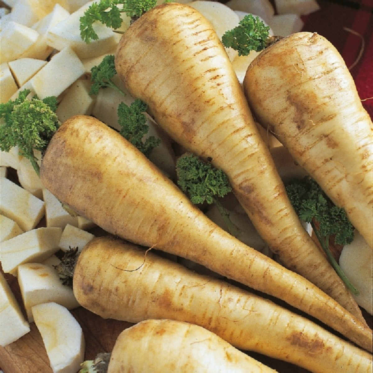 Kings – Parsnip Tender and True Seeds