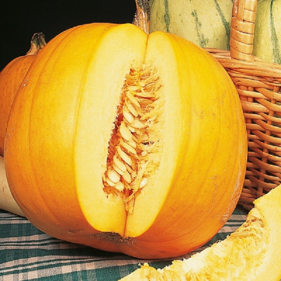 Kings – Pumpkin – Jack O’Lantern