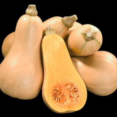 Kings – Squash Winter Butternut Hunter F1
