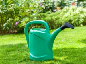 Lawn Care