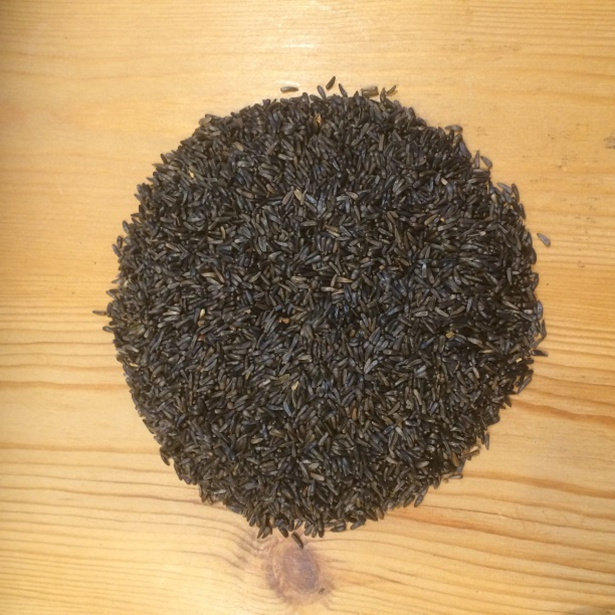 Niger Seed 12.55kg