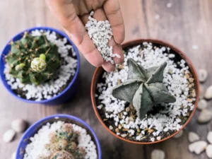 Perlite & Vermiculite