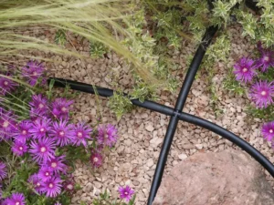 Pipeline and Connectors