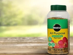 Plant Food