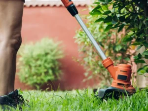 Trimmer Lines