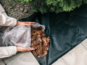 Weed Control Fabric