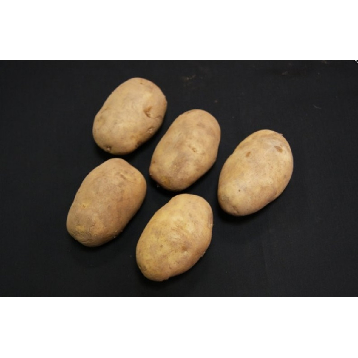 Arran Pilot Seed Potatoes – 2kg