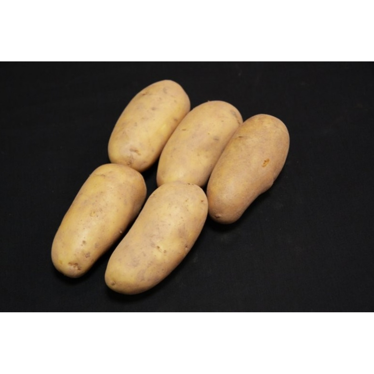 Charlotte Seed Potatoes – 2kg