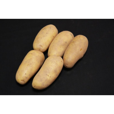Charlotte Seed Potatoes – 2kg