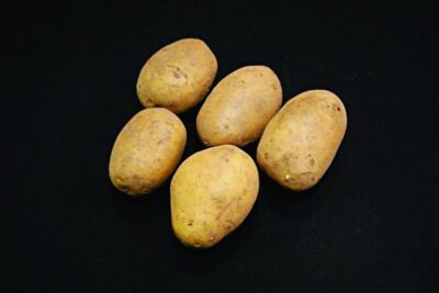 Duke Of York Seed Potatoes – 2kg