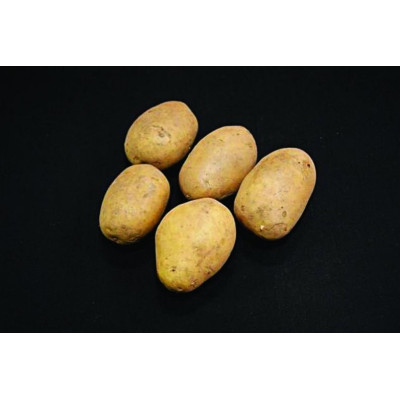 Duke Of York Seed Potatoes – 2kg