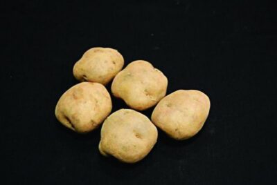 Epicure Seed Potatoes – 25kg