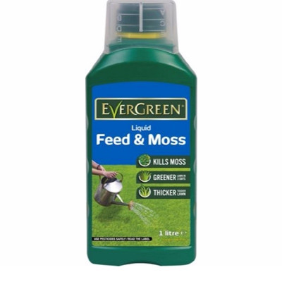 Evergreen Liquid Feed & Moss 1L