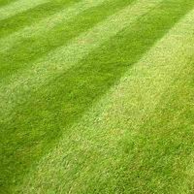 General Purpose Grass Seed 20kg