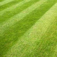 General Purpose Grass Seed 20kg