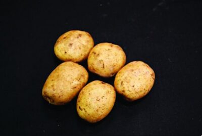 Home Guard Seed Potatoes – 2kg
