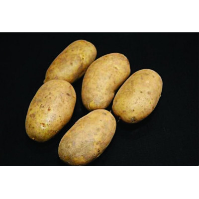 International Kidney Seed Potatoes – 25kg