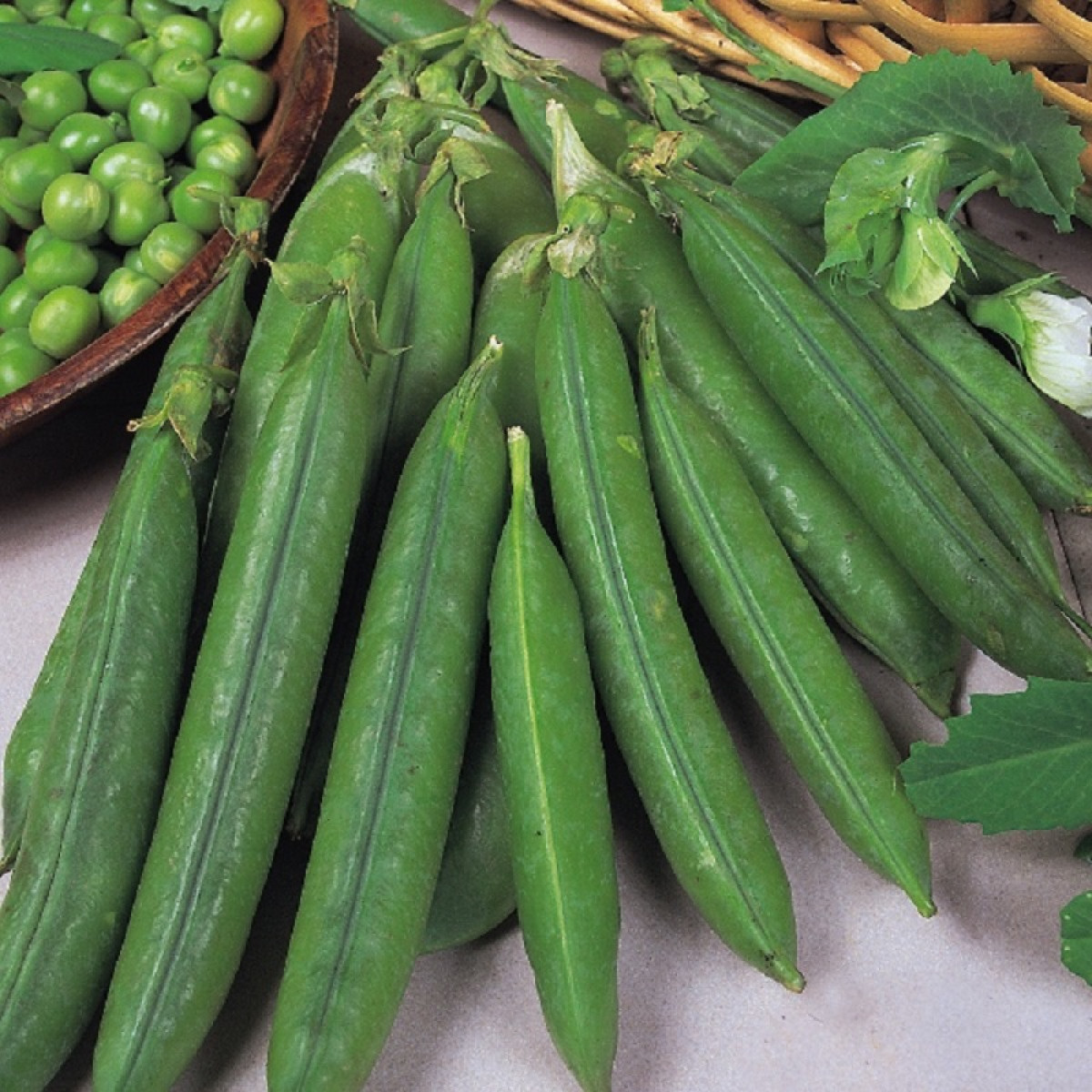 Kings – Pea Douce Provence