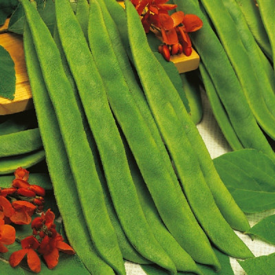 Kings – Runner Beans Butler