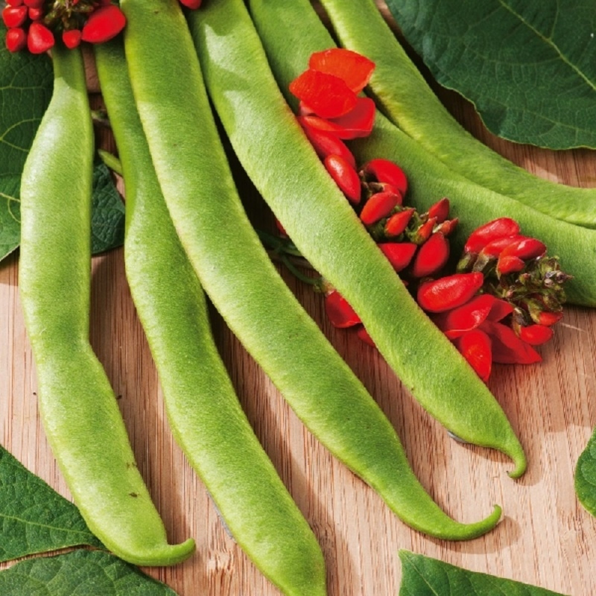 Kings – Runner Beans Polestar