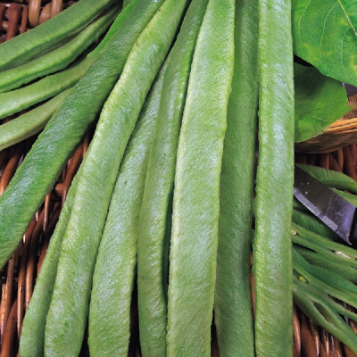 Kings – Runner Beans Streamline