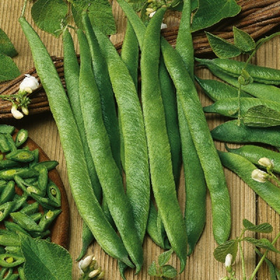Kings – Runner Beans White Lady